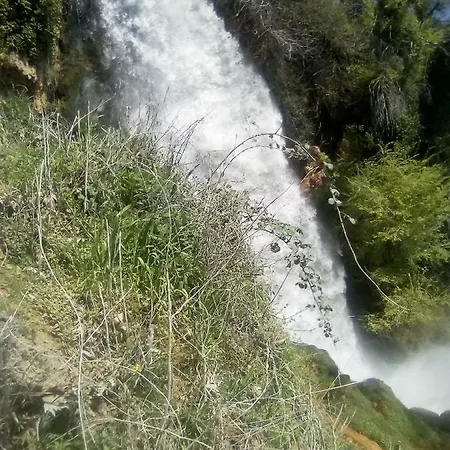 Alexandros Апартаменты Аридая