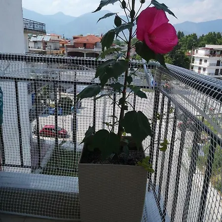 Alexandros Аридая