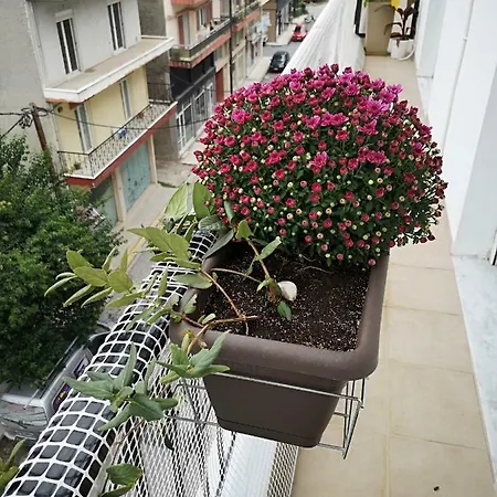 Apartment Alexandros *