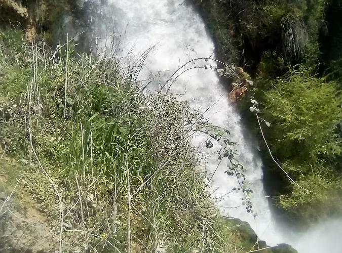 Alexandros Apartamento Aridaía